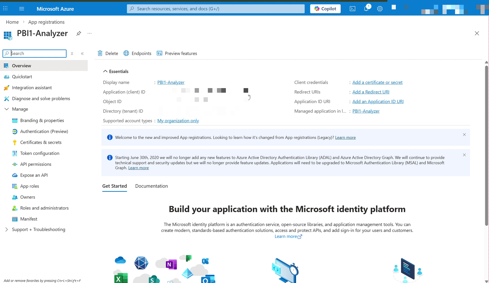 Application Overview page with the client ID and tenant ID